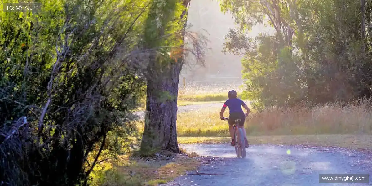 📺 毫秒级同步，超清画质见证绝杀时刻！🎯